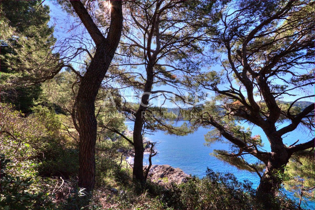 Korčula, Vela Luka – edinstvena nepremičnina ob obali, obdana z zelenjem – 7.000 m2 - PRODAJA