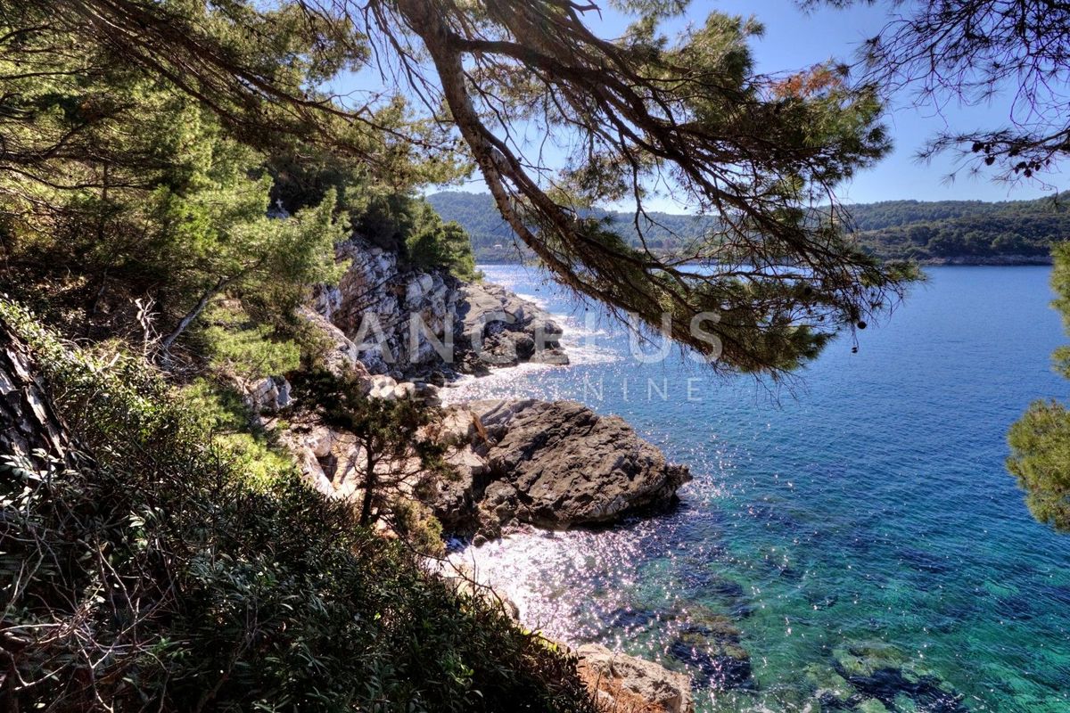 Korčula, Vela Luka – edinstvena nepremičnina ob obali, obdana z zelenjem – 7.000 m2 - PRODAJA