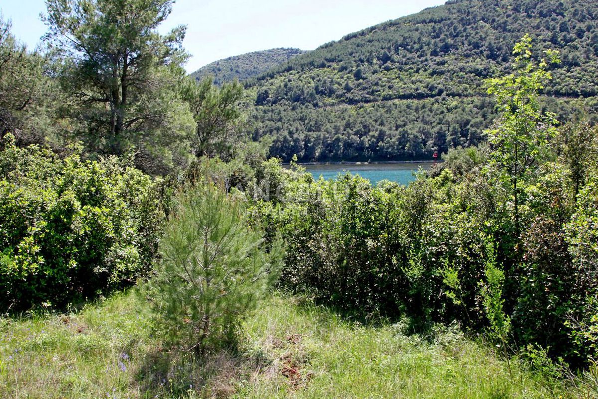 Zemljišče Ston, 4.700m2