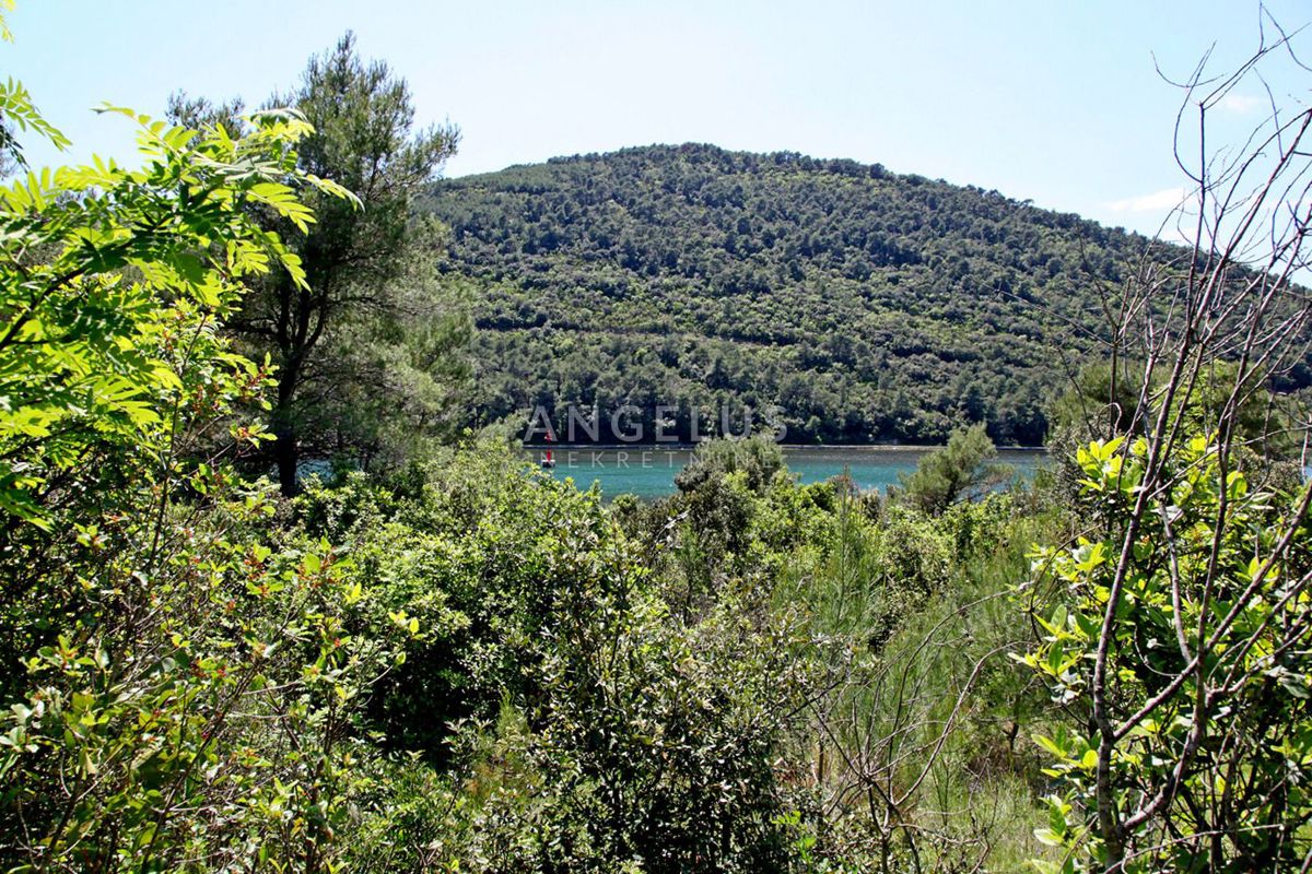 Zemljišče Ston, 4.700m2