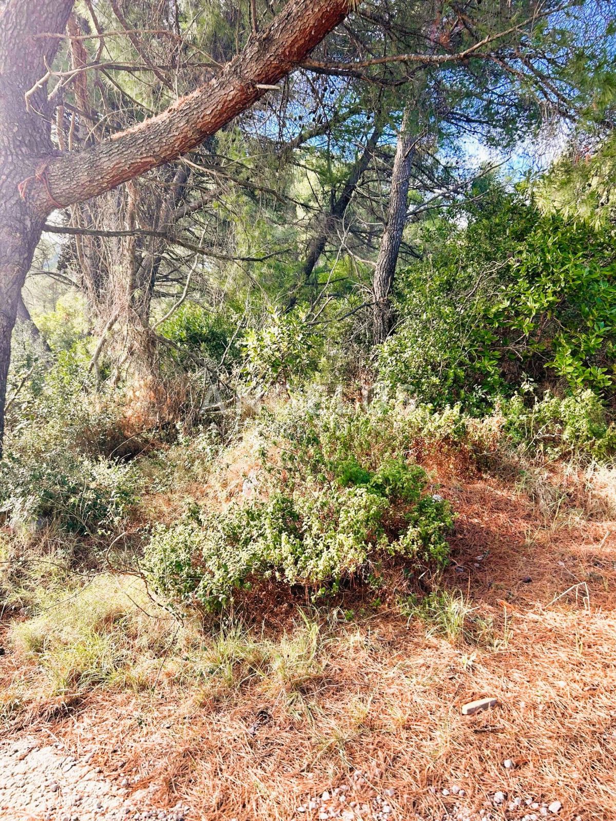 Brač, Sumartin - grad.zeml. s pogledom na morje, PRODAJA