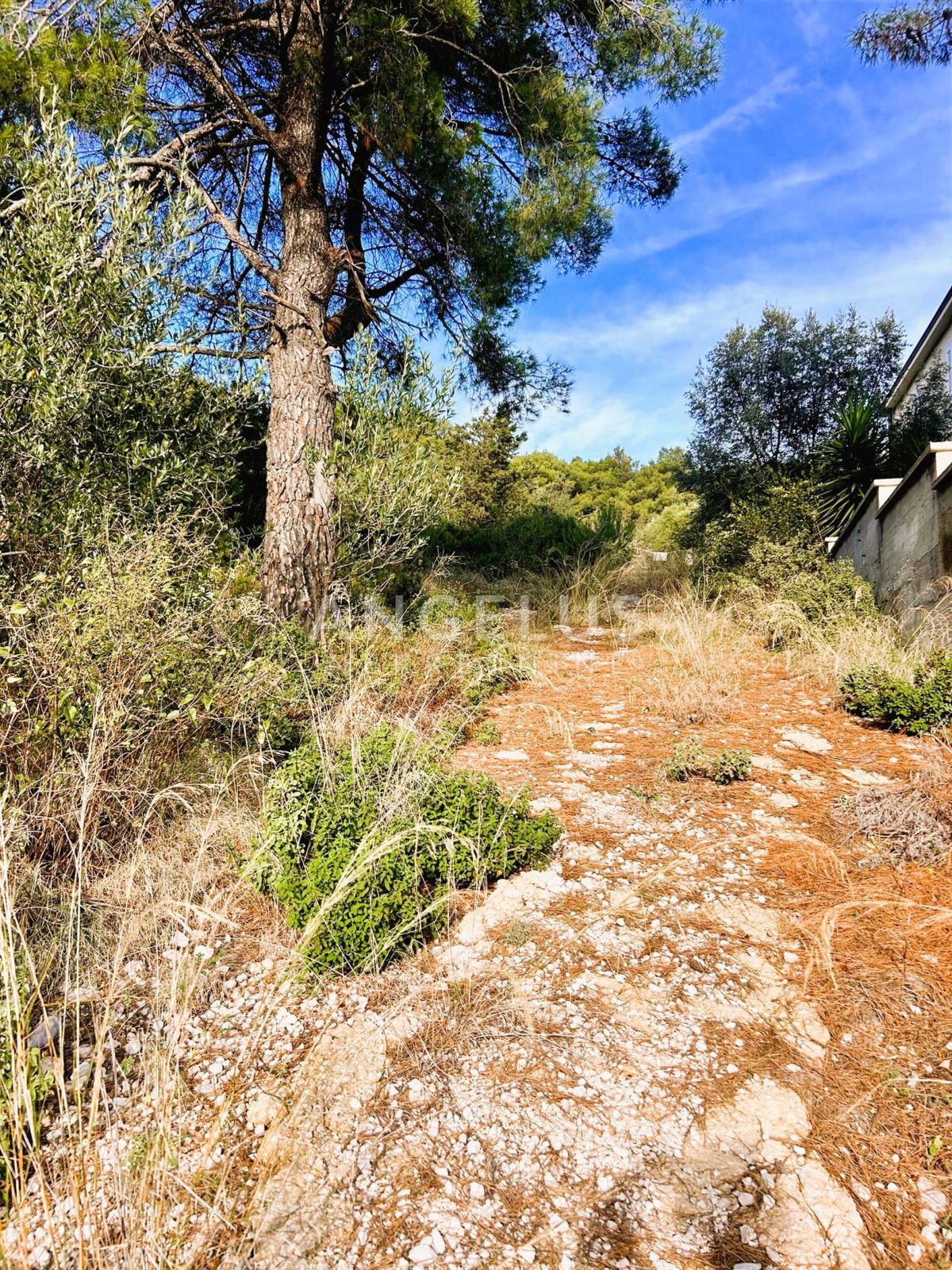 Brač, Sumartin - grad.zeml. s pogledom na morje, PRODAJA