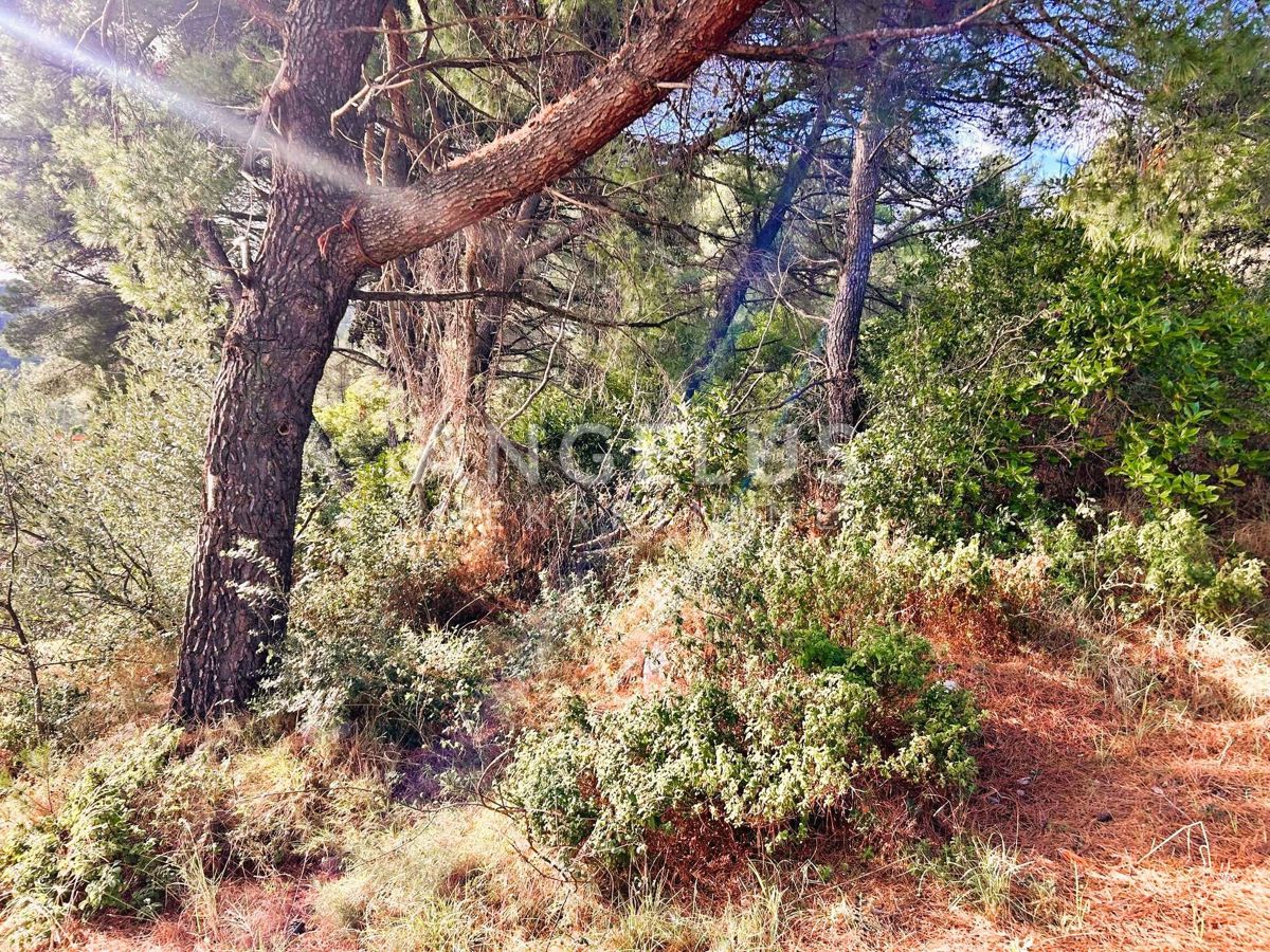Brač, Sumartin - grad.zeml. s pogledom na morje, PRODAJA