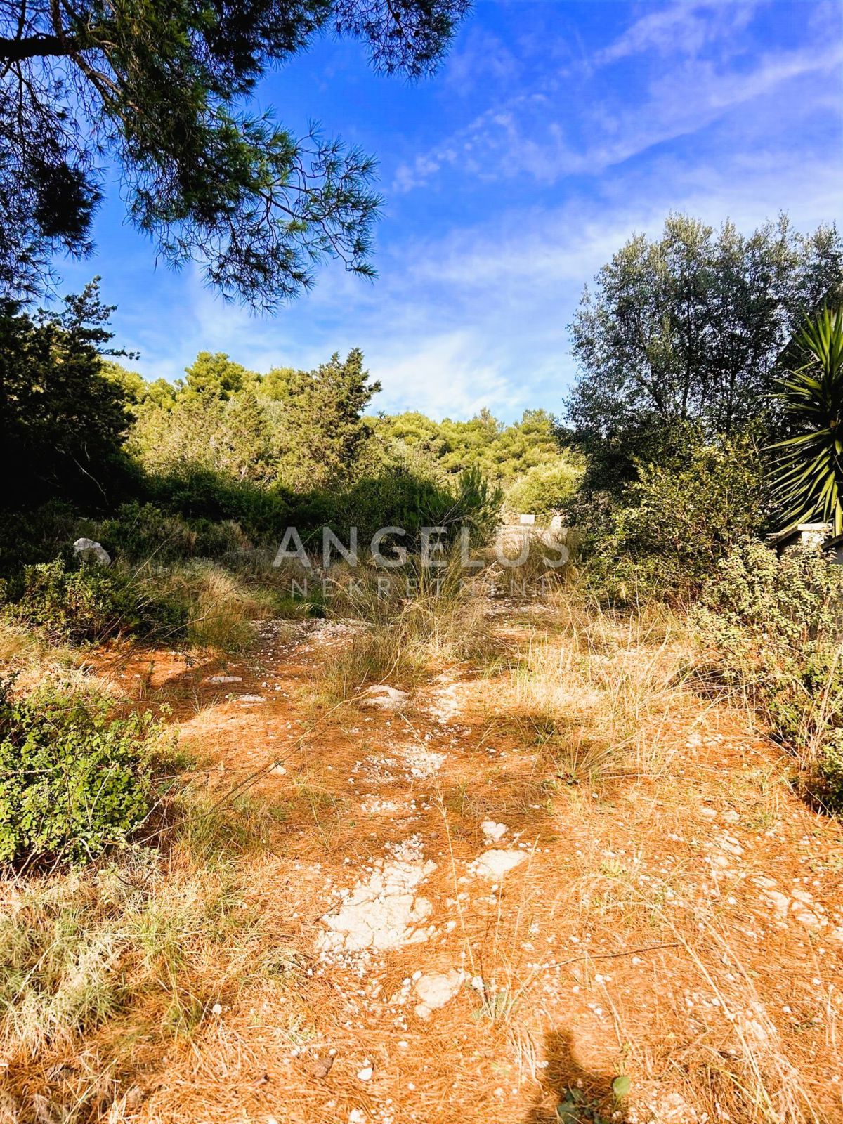 Brač, Sumartin - grad.zeml. s pogledom na morje, PRODAJA