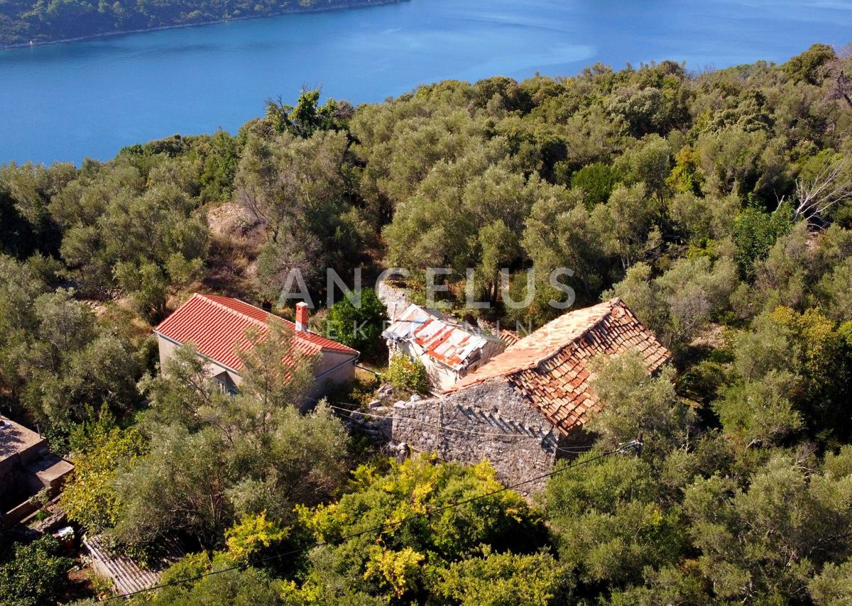 Hiša Šipanska Luka, Dubrovnik - Okolica, 230m2