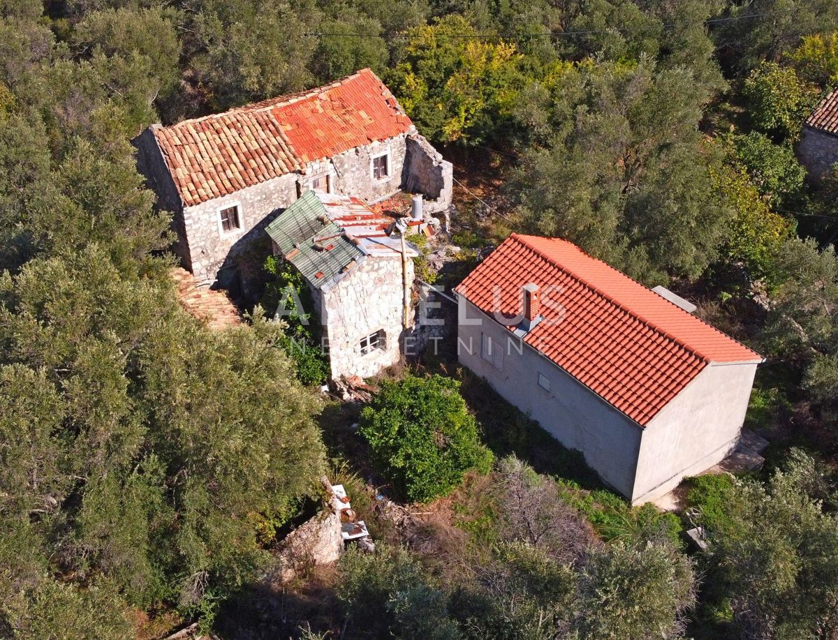 Hiša Šipanska Luka, Dubrovnik - Okolica, 230m2