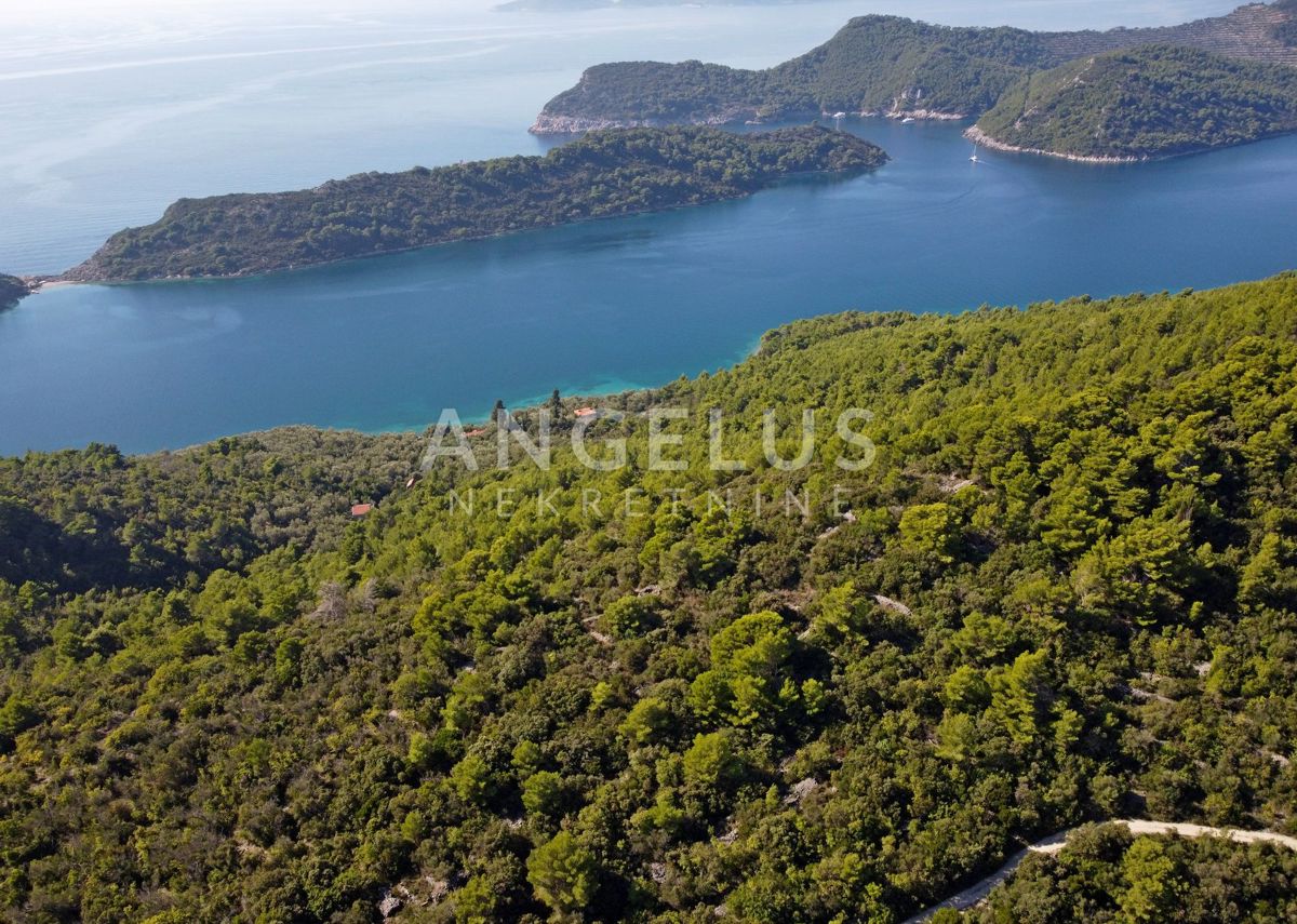 Hiša Šipanska Luka, Dubrovnik - Okolica, 230m2