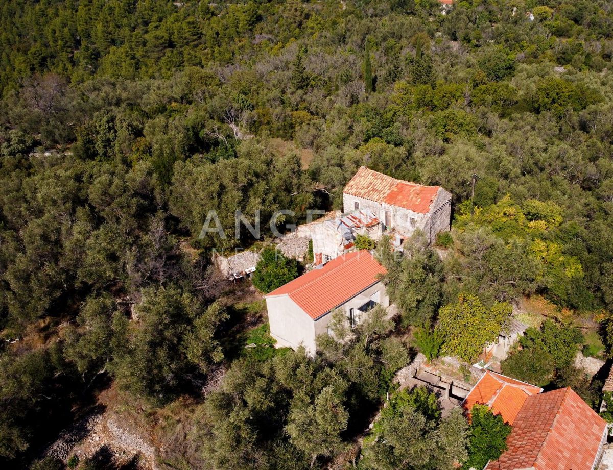 Hiša Šipanska Luka, Dubrovnik - Okolica, 230m2