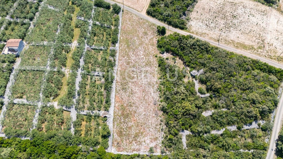 Solta, Necujam - grad. zem. v bližini morja, 1600 m2, PRODAJA