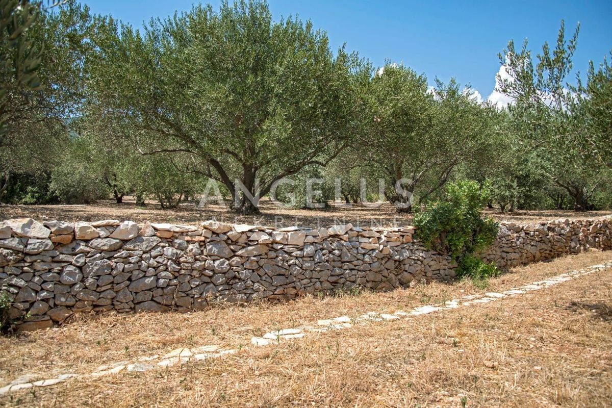 Kaštel Novi - novozgrajena mediteranska hiša z bazenom