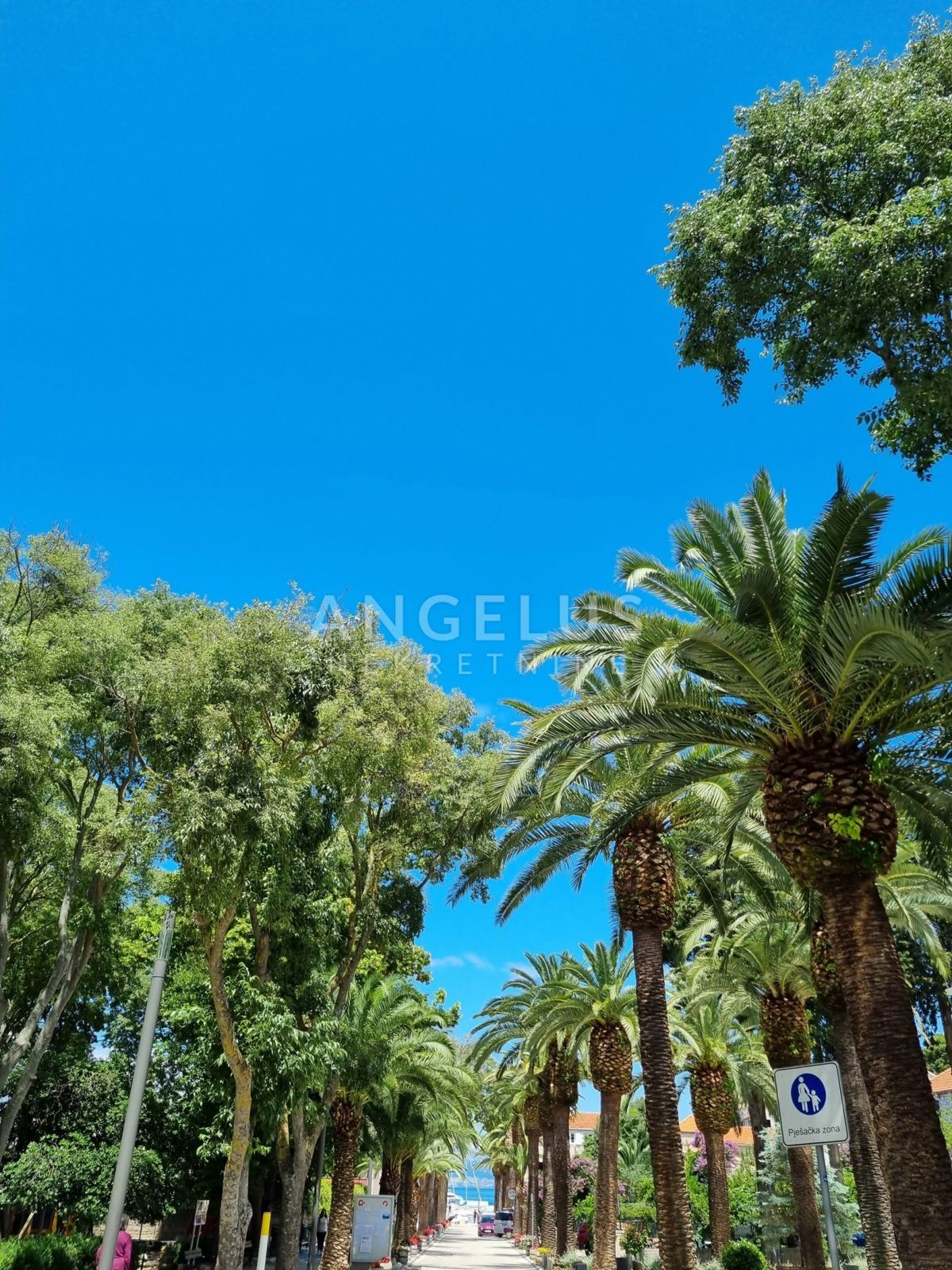 Brač, Sutivan - zemljišče z dovoljenjem v bližini morja, 600 m2, PRODAJA