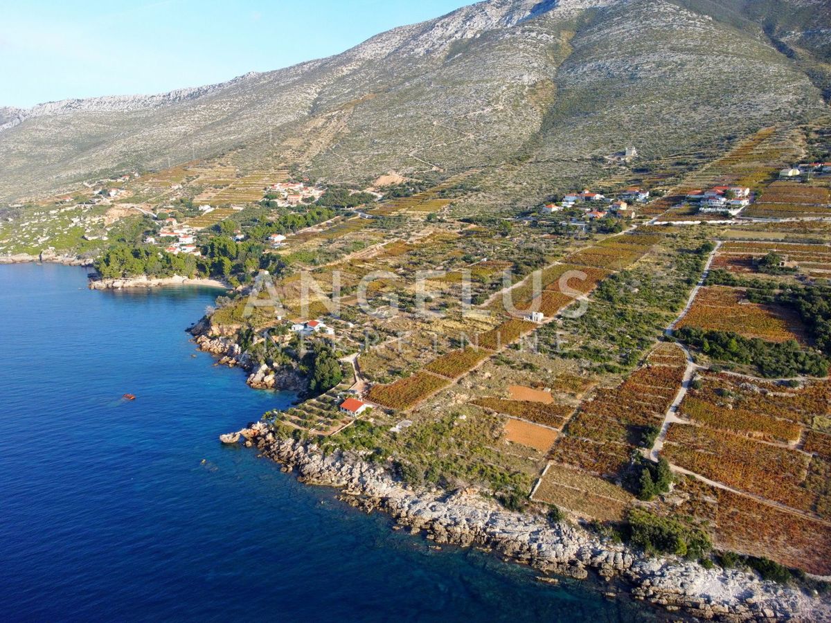 Zemljišče Stanković, Orebić, 4.500m2