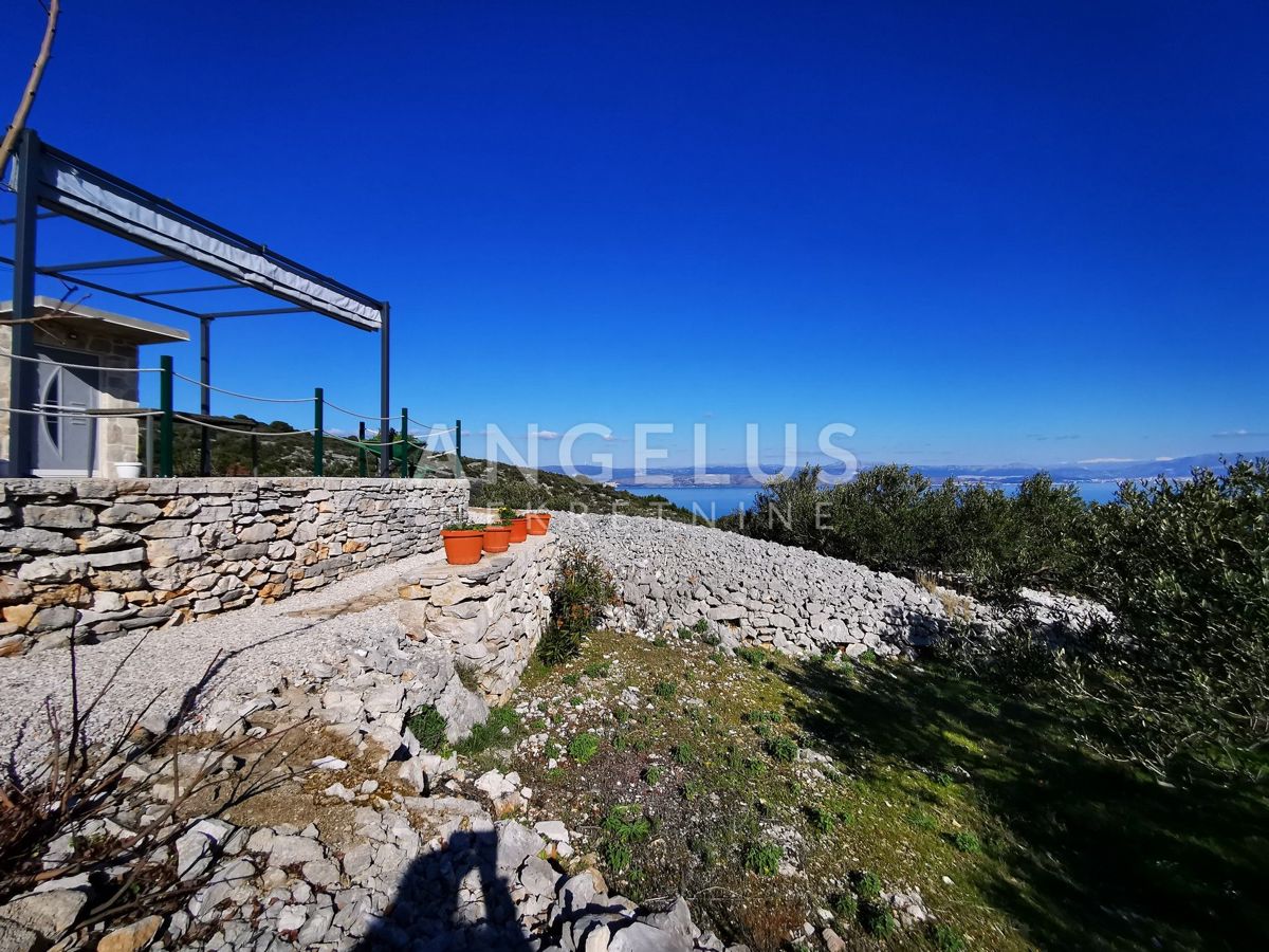 Šolta - urejen oljčni nasad s pogledom na morje, 4800 m2