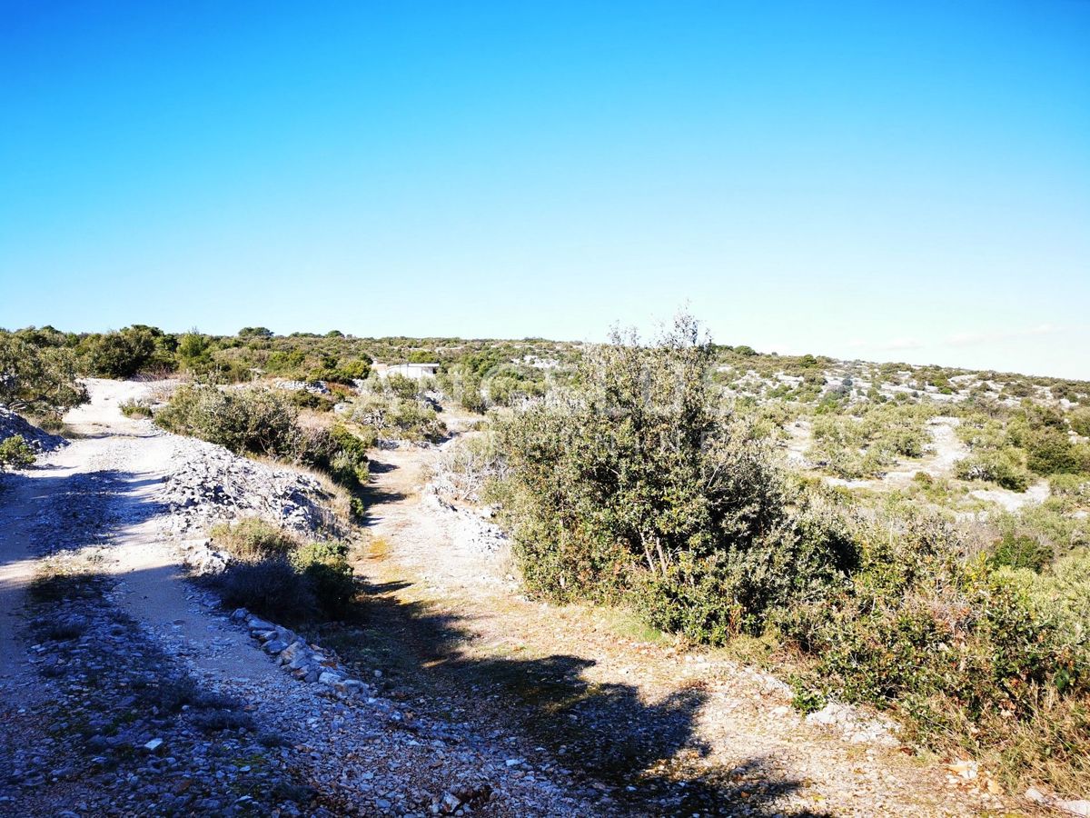 Šolta - urejen oljčni nasad s pogledom na morje, 4800 m2