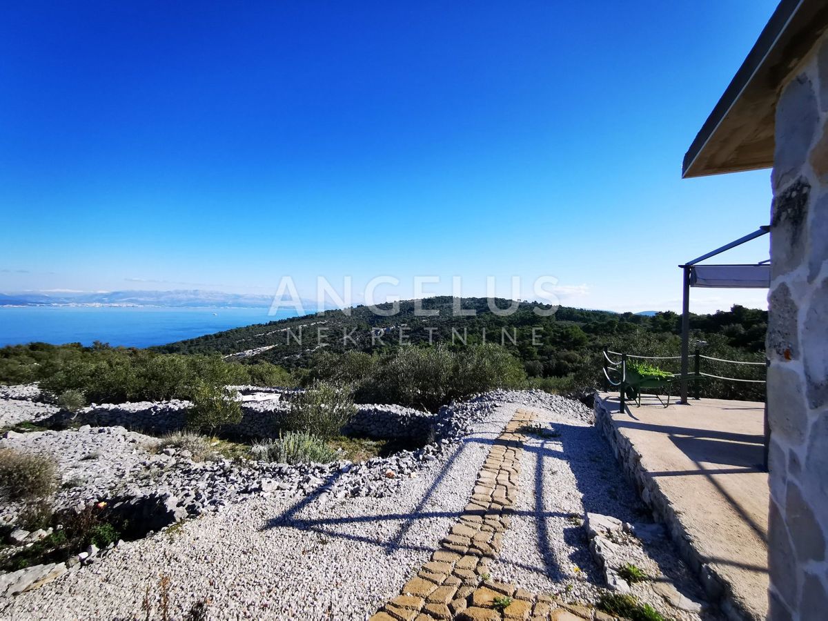 Šolta - urejen oljčni nasad s pogledom na morje, 4800 m2