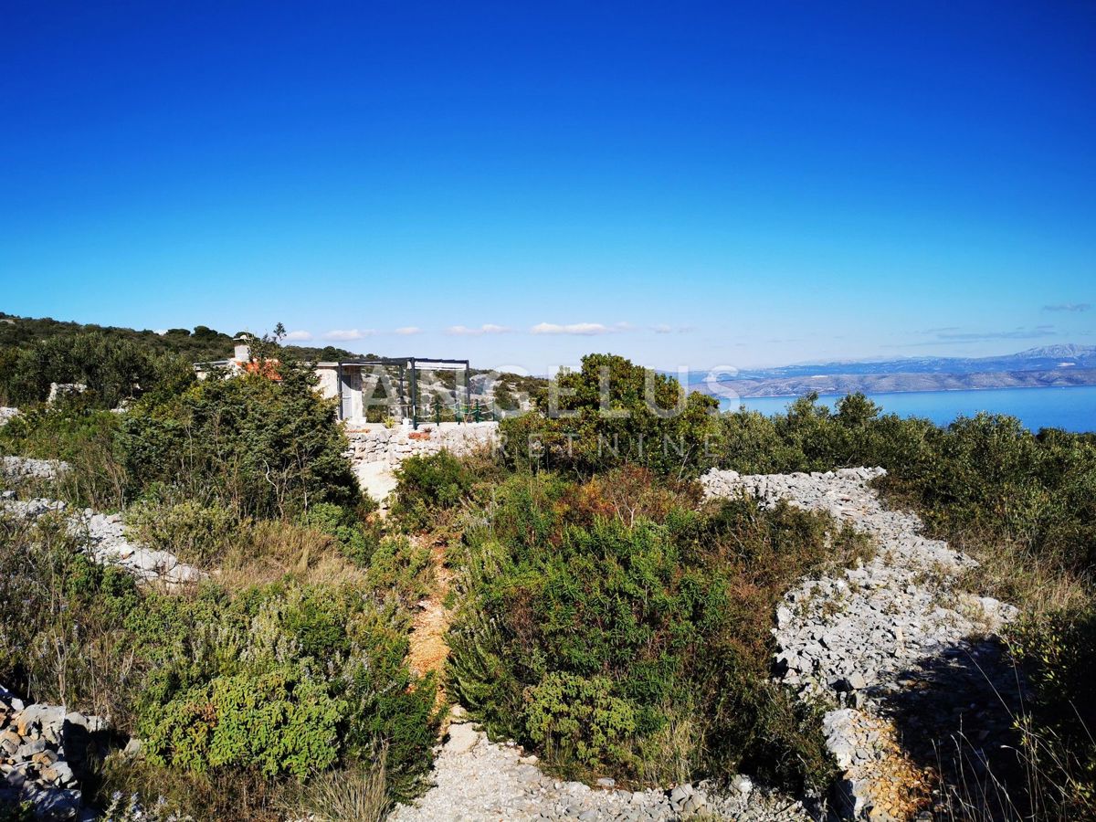 Šolta - urejen oljčni nasad s pogledom na morje, 4800 m2