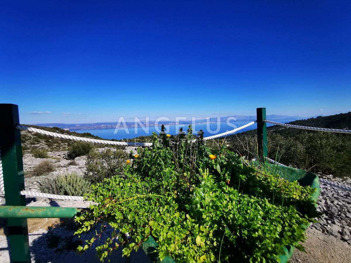 Šolta - urejen oljčni nasad s pogledom na morje, 4800 m2