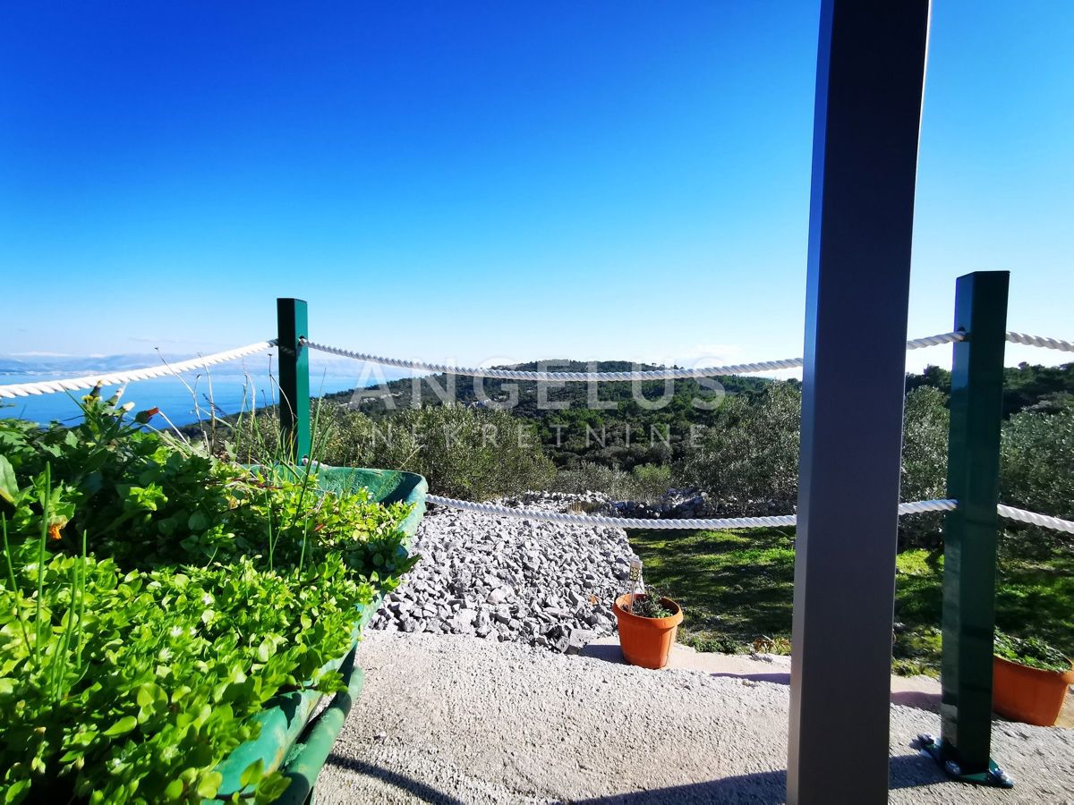 Šolta - urejen oljčni nasad s pogledom na morje, 4800 m2