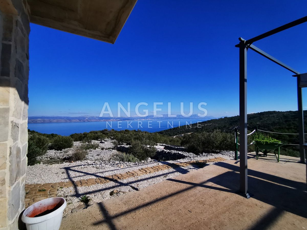 Šolta - urejen oljčni nasad s pogledom na morje, 4800 m2