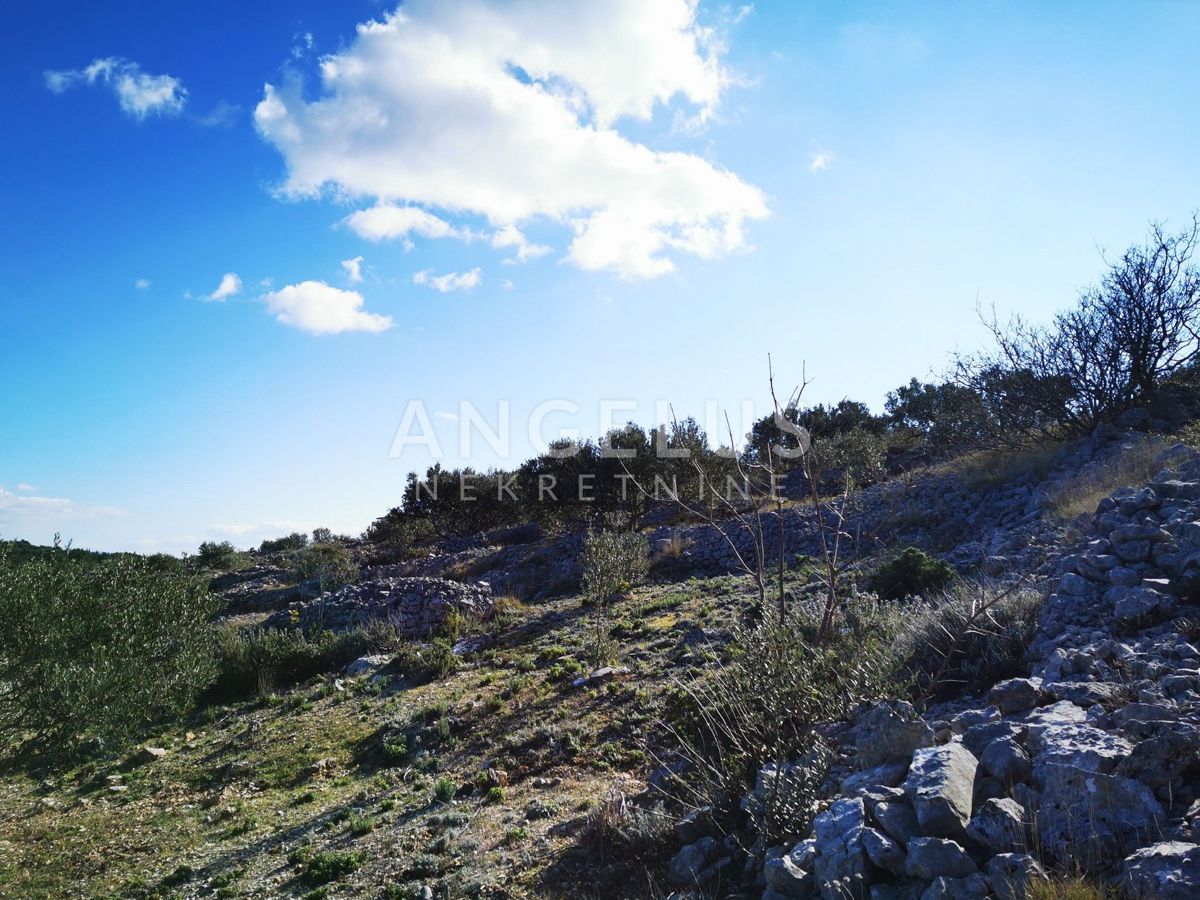 Šolta - urejen oljčni nasad s pogledom na morje, 4800 m2