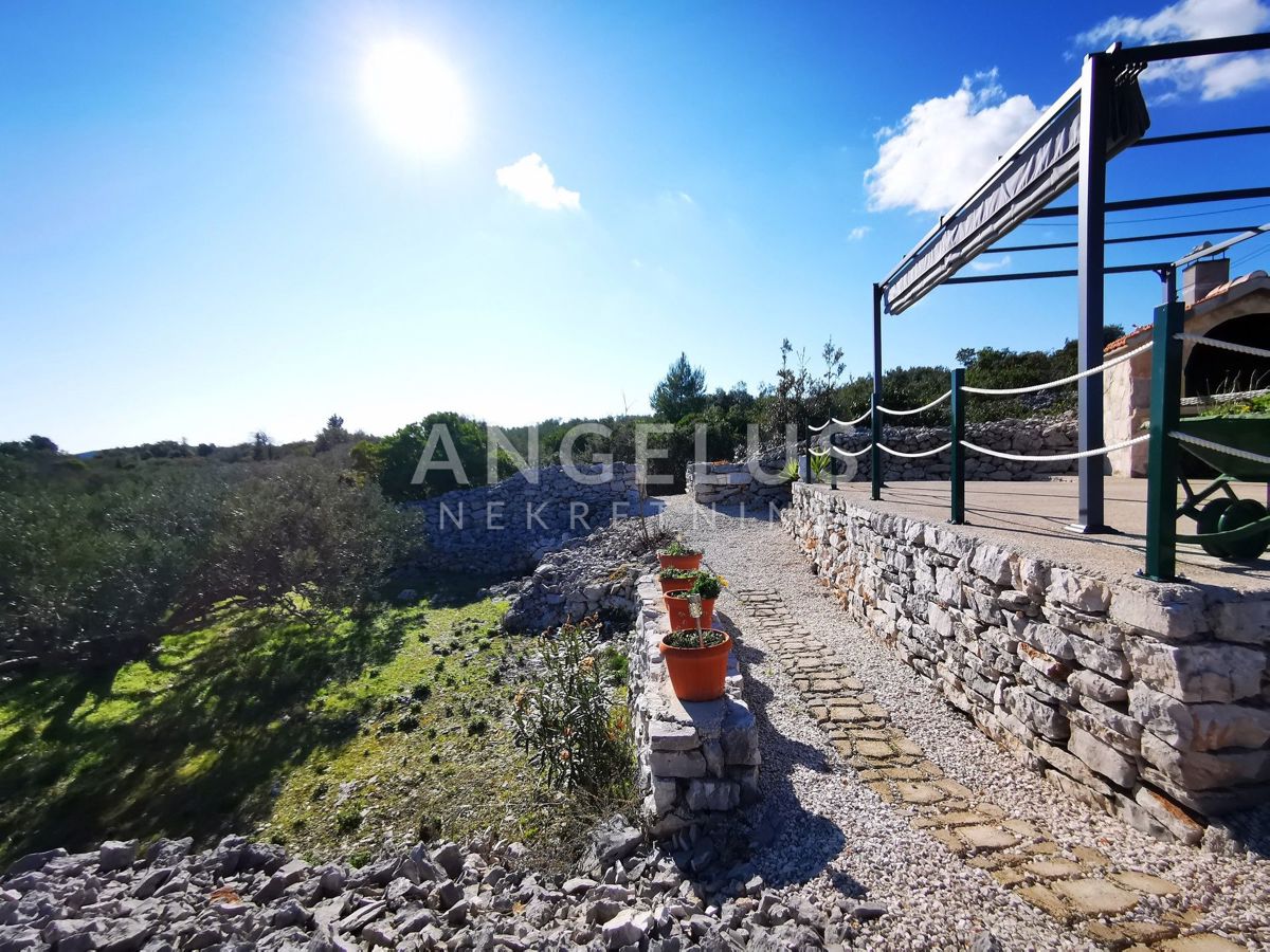 Šolta - urejen oljčni nasad s pogledom na morje, 4800 m2