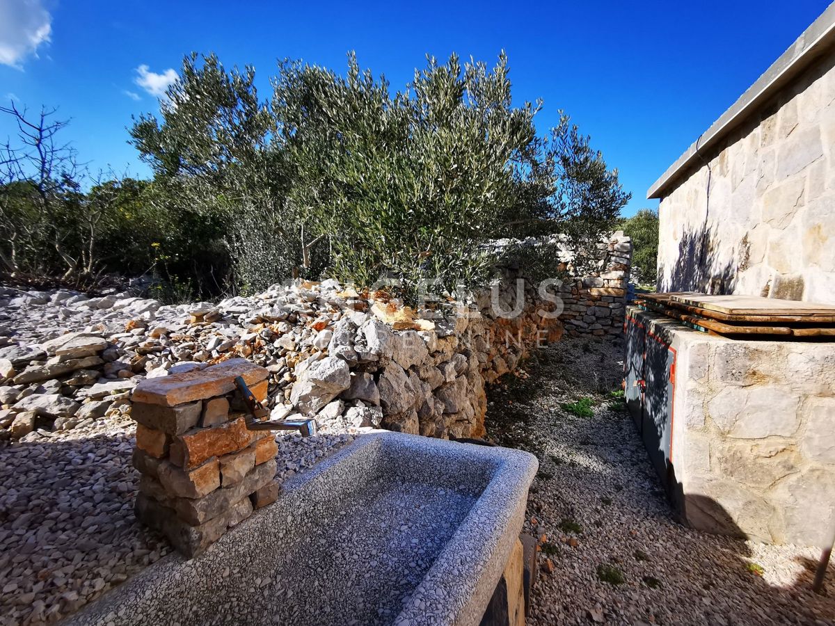 Šolta - urejen oljčni nasad s pogledom na morje, 4800 m2