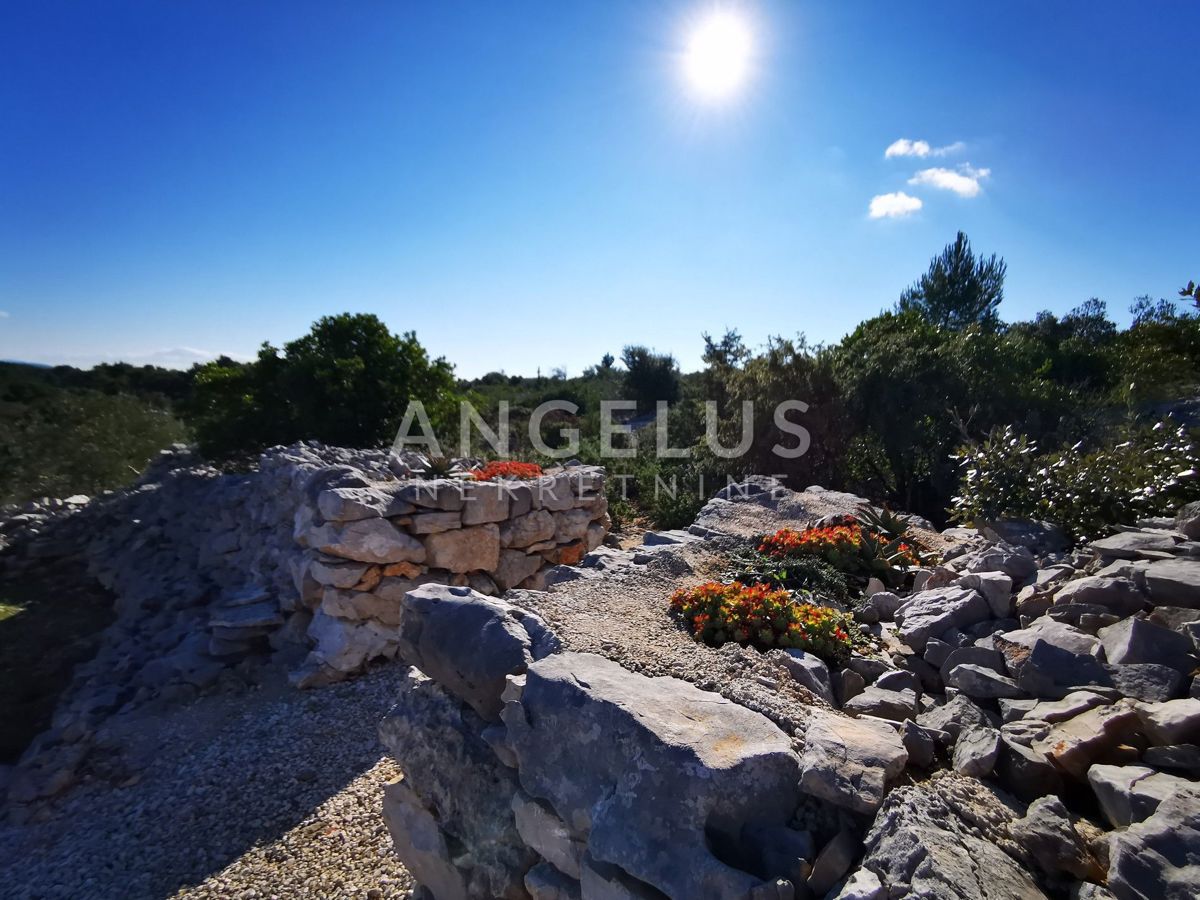 Šolta - urejen oljčni nasad s pogledom na morje, 4800 m2