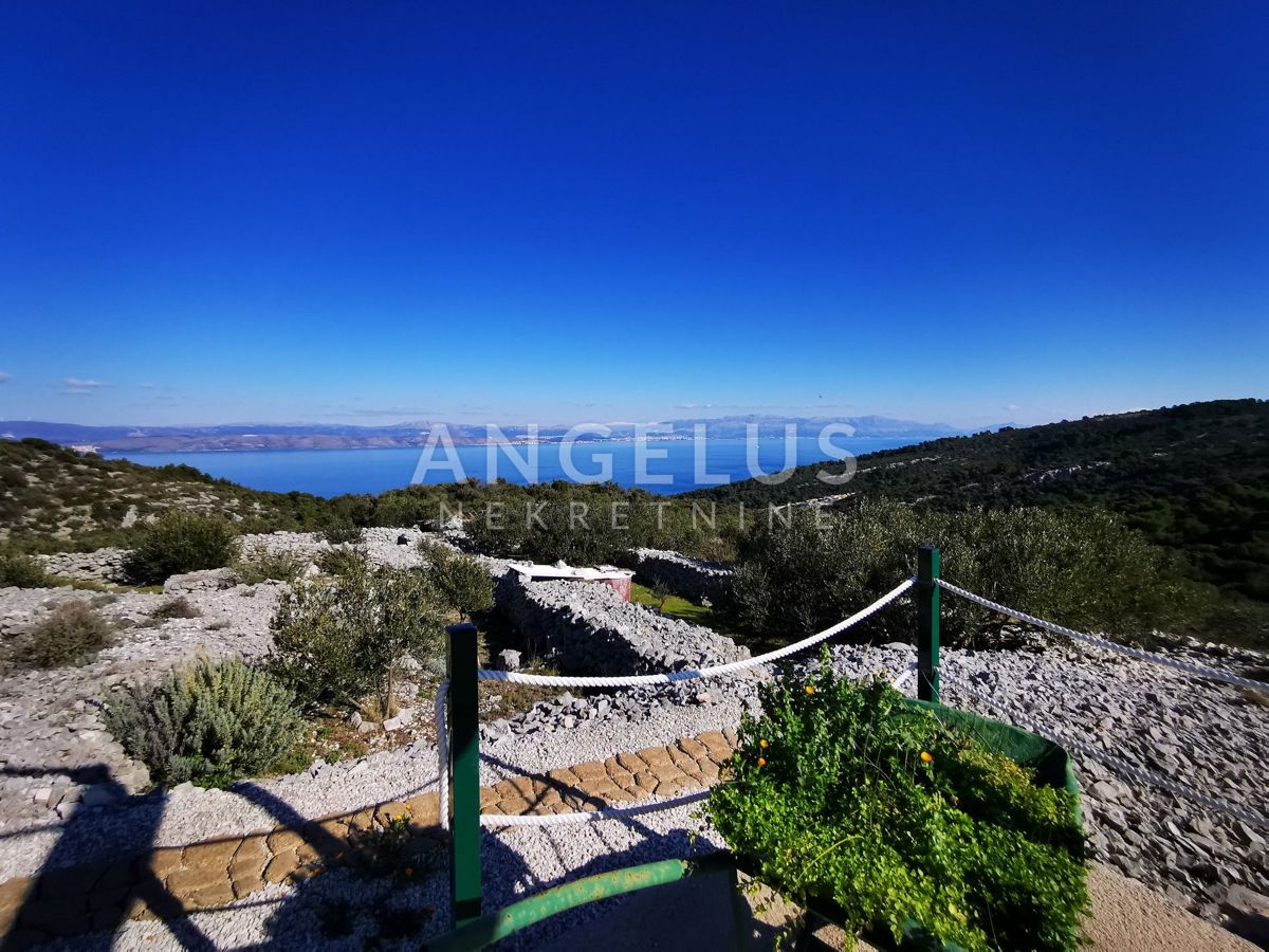 Šolta - urejen oljčni nasad s pogledom na morje, 4800 m2