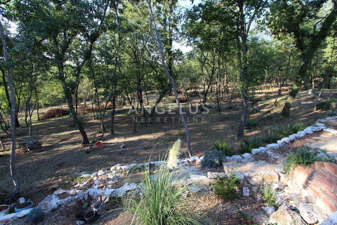 Hiša Buje, 280m2