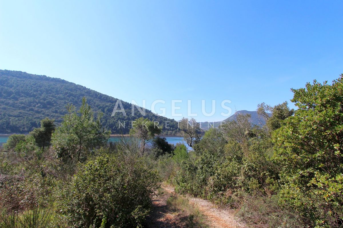 Zemljišče Ston, 22.000m2
