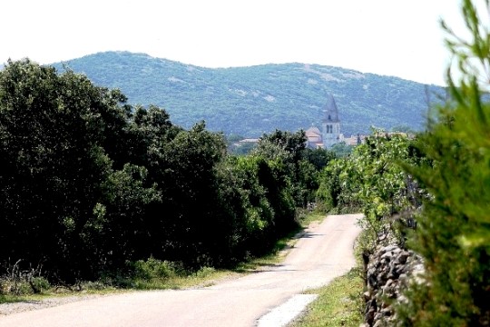 OTOK CRES – KMETIJSKO ZEMLJIŠČE 106.000 m²