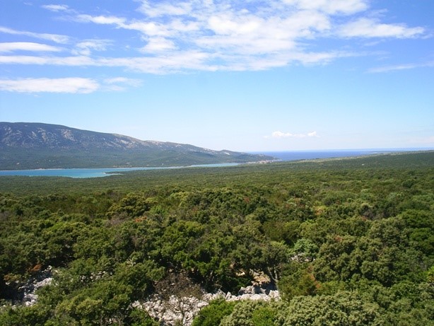 OTOK CRES – KMETIJSKO ZEMLJIŠČE 106.000 m²